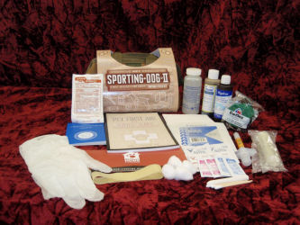 Sporting Dog II