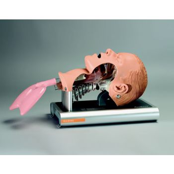 Ambu Intubation Airway Management Trainer