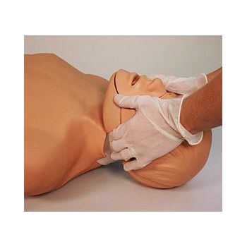 Jaw Thrust Brad CPR Manikin with American Red Cross Bag