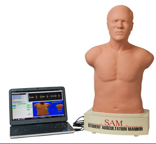SAM II, the Student Auscultation Manikin