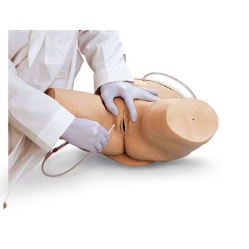 Female Catheter Simulator