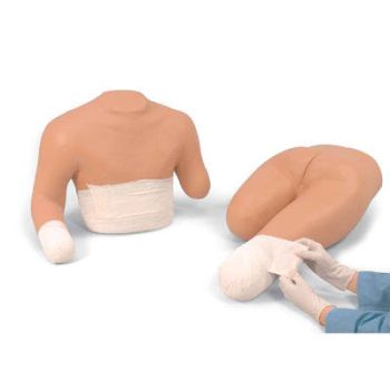 Stump Bandaging Simulator Set, Upper/Lower