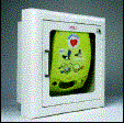 AED Wall Cabinet (flush mount)